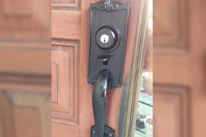 アルファのフローレンス