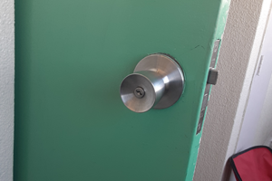 MIWAの玉座が付いた玄関ドア